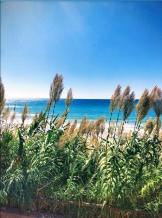 Conil Vistas Al Mar Del Roqueo, Fuente Del Gallo Кониль-де-ла-Фронтера Экстерьер фото